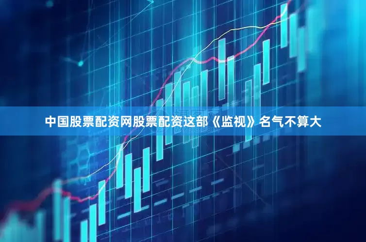 中国股票配资网股票配资这部《监视》名气不算大